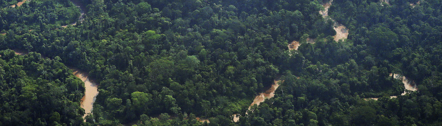 Indigenous Sápara territory in the Ecuadorian Amazon