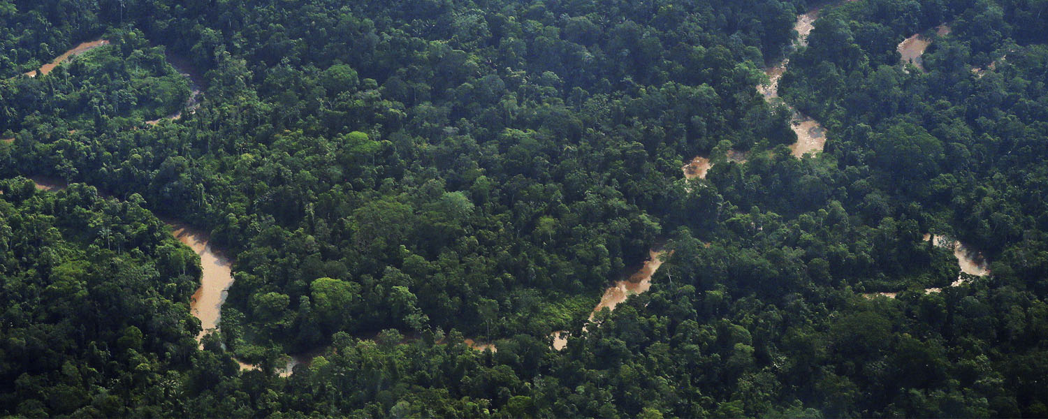 Indigenous Sápara territory in the Ecuadorian Amazon