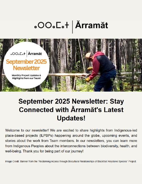 SeptemberThumb_page-0001 September Arramat Newsletter Thumbnail