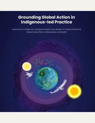 Grounding_global_action_thumbnail